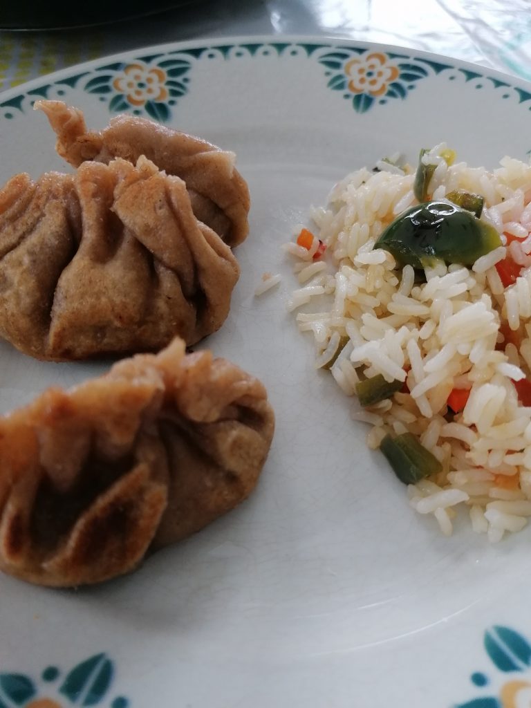 gyozas aux légumes