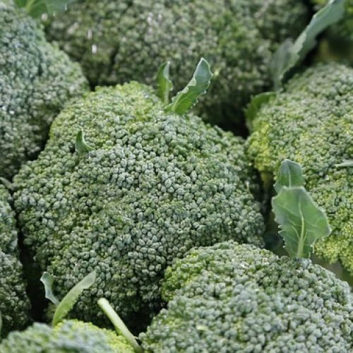 broccoli-1076652_640